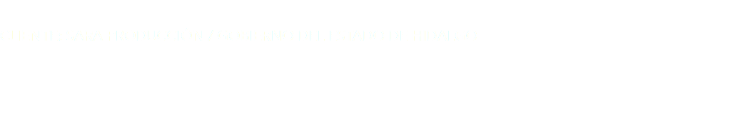  CLIENTE: SARA PRODUCCIÓN / GOBIERNO DEL ESTADO DE HIDALGO 